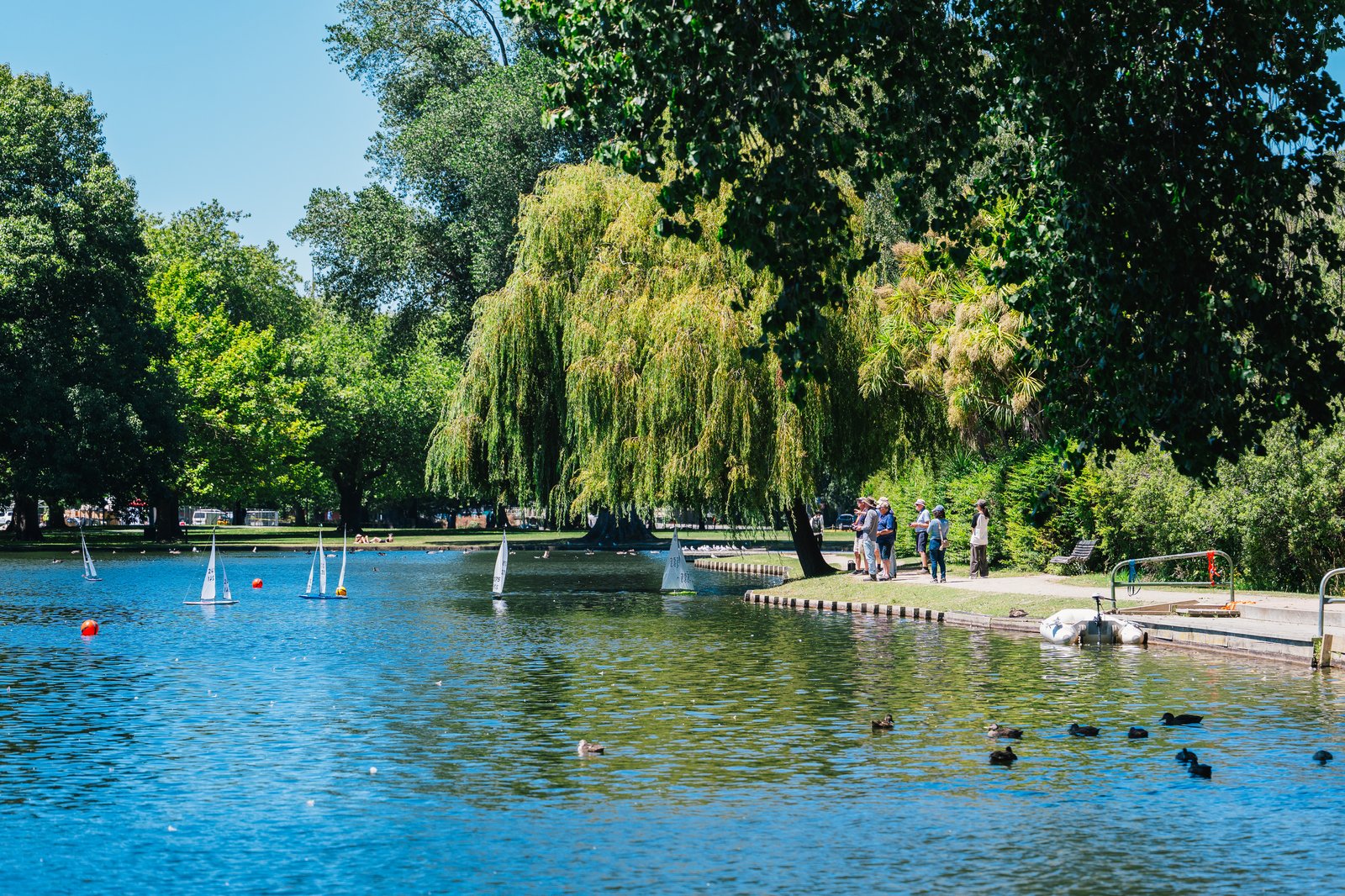 Model yacht hobbyists at Victoria Lake, Hagley Park